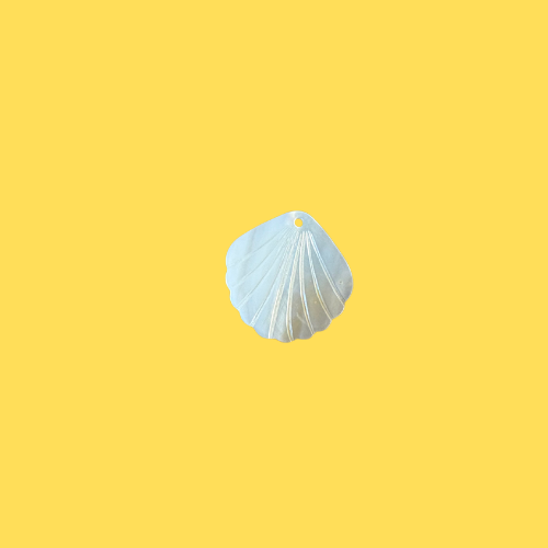 Charms Coquillage Nacré Blanc