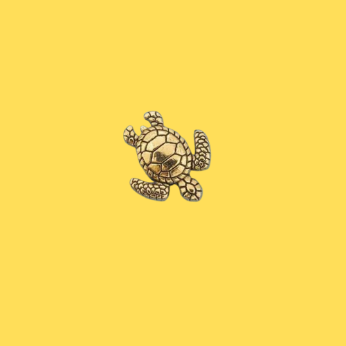 Charm Tortue